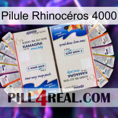 Pilule Rhinocéros 4000 kamagra1